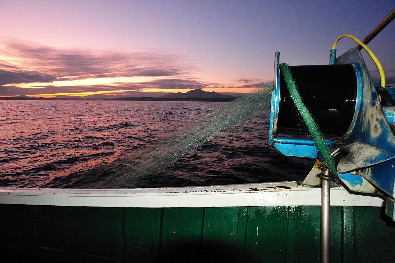 Fileyeur St Jean de Luz a7.JPG